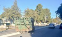 Fuera de control: una jaula se desenganchó y terminó frente al hospital de Río Colorado 