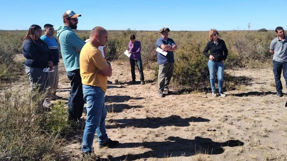 Productores ganaderos diagraman soluciones para atenuar temporada de sequía