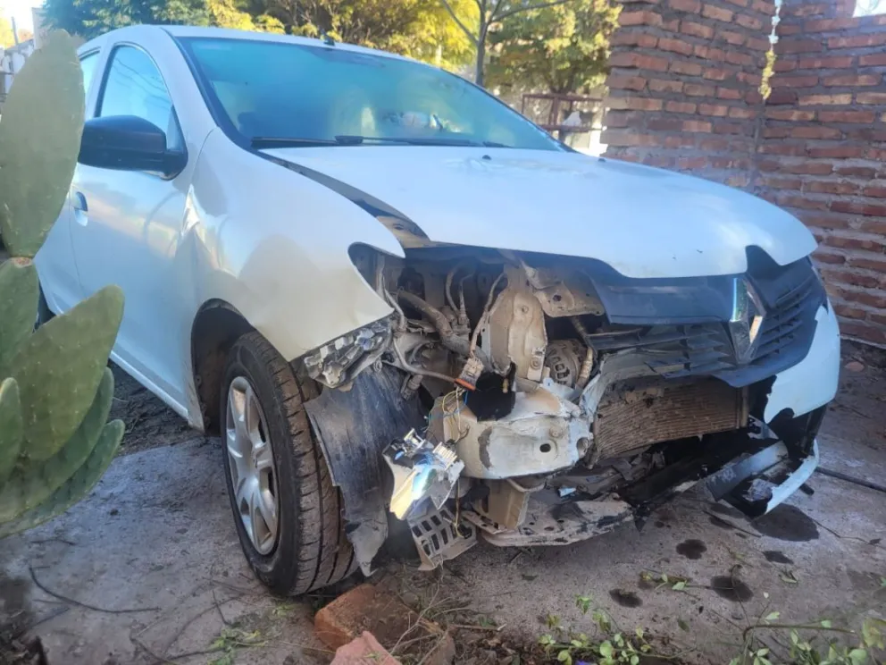 Río Colorado: Se le cruzó un jabalí en plena noche y destrozó el auto