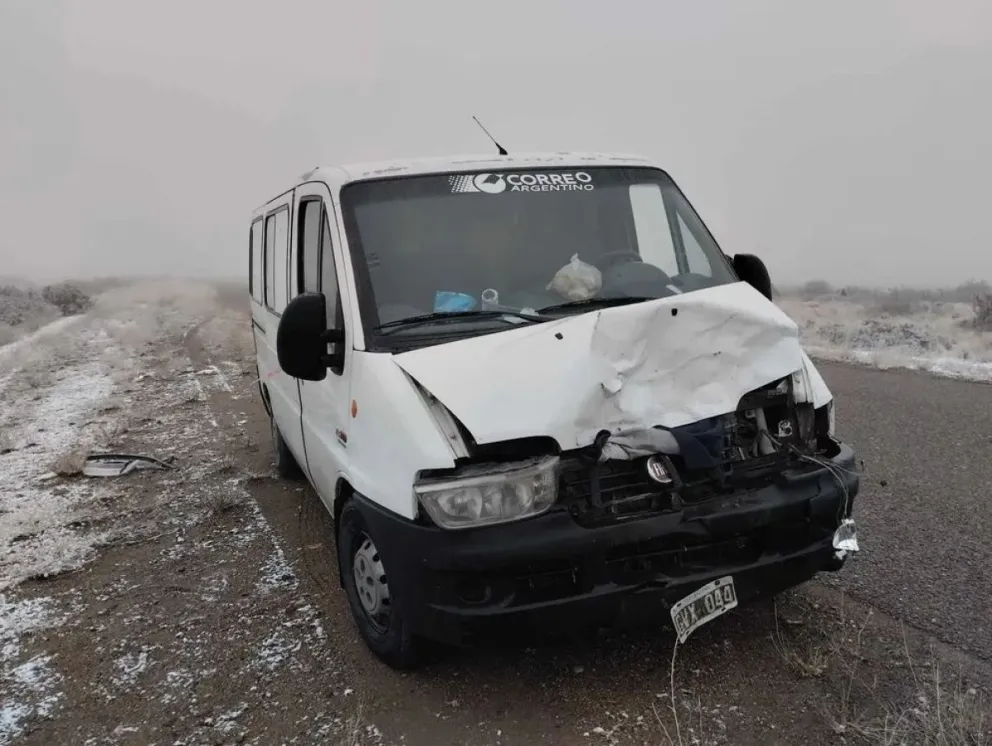 Una camioneta del Correo chocó contra un caballo