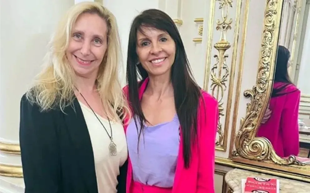 Sigue el escándalo en La Libertad Avanza: solicitaron al juez suspender el proceso de formación del partido