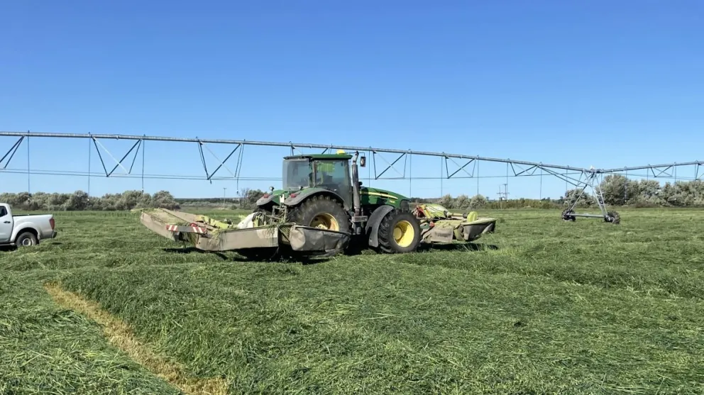 Río Negro se posiciona como un líder en la producción agrícola nacional e internacional
