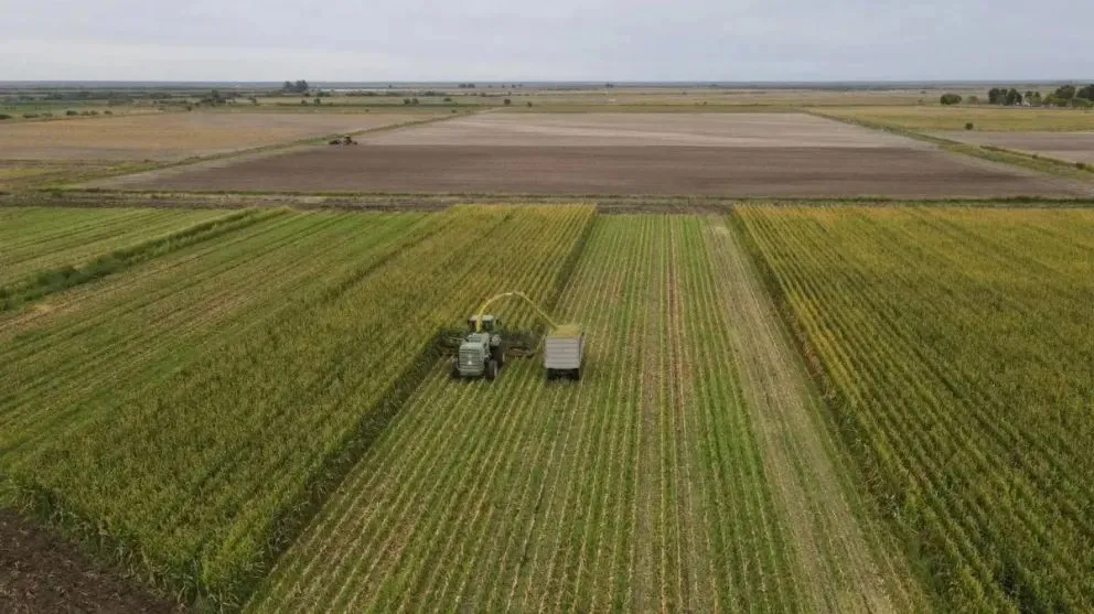 El agro se ubica, una vez más, en el caballito de batalla de la economía argentina