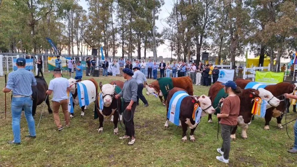 Un modelo que combina tradición e innovación.