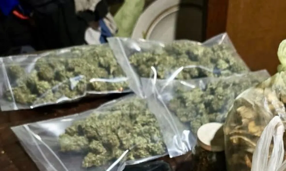 Usaban un Reprocann pero la mayoría de lo que producían era vendido. Foto: Policía de Río Negro 