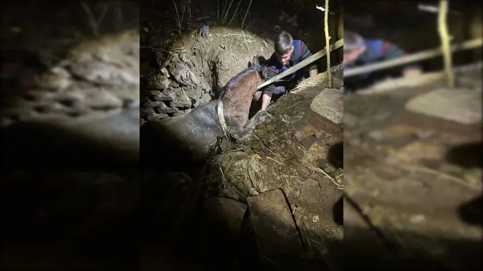 El operativo se extendió por dos horas. Foto: (Gentileza - Bomberos Voluntarios)