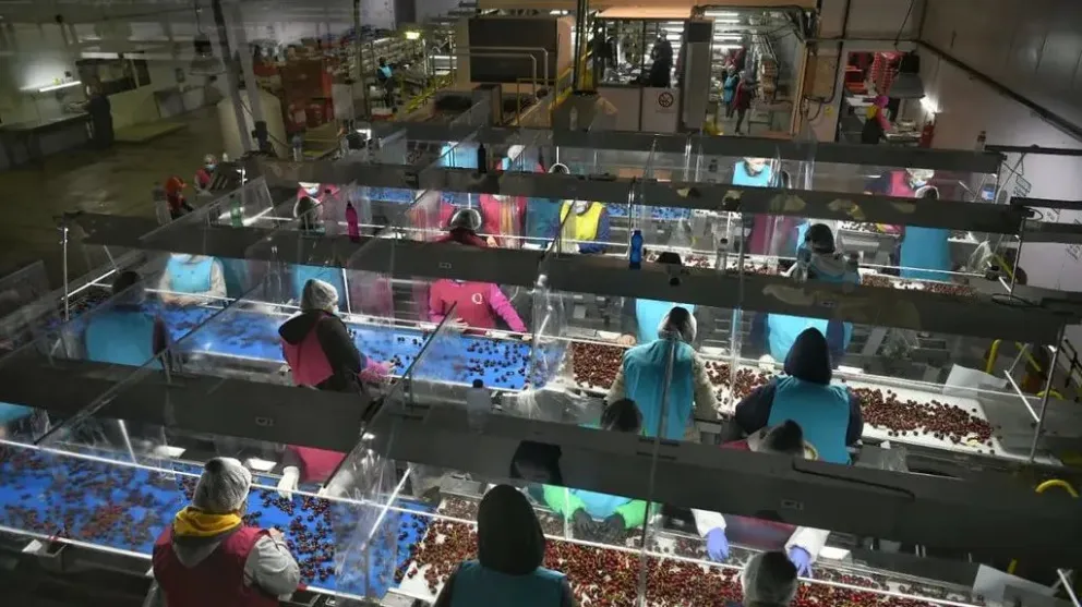 La convocatoria está dirigida a emprendimientos que tengan menos de 7 años de antigüedad.Crédito: Gobierno Río Negro
