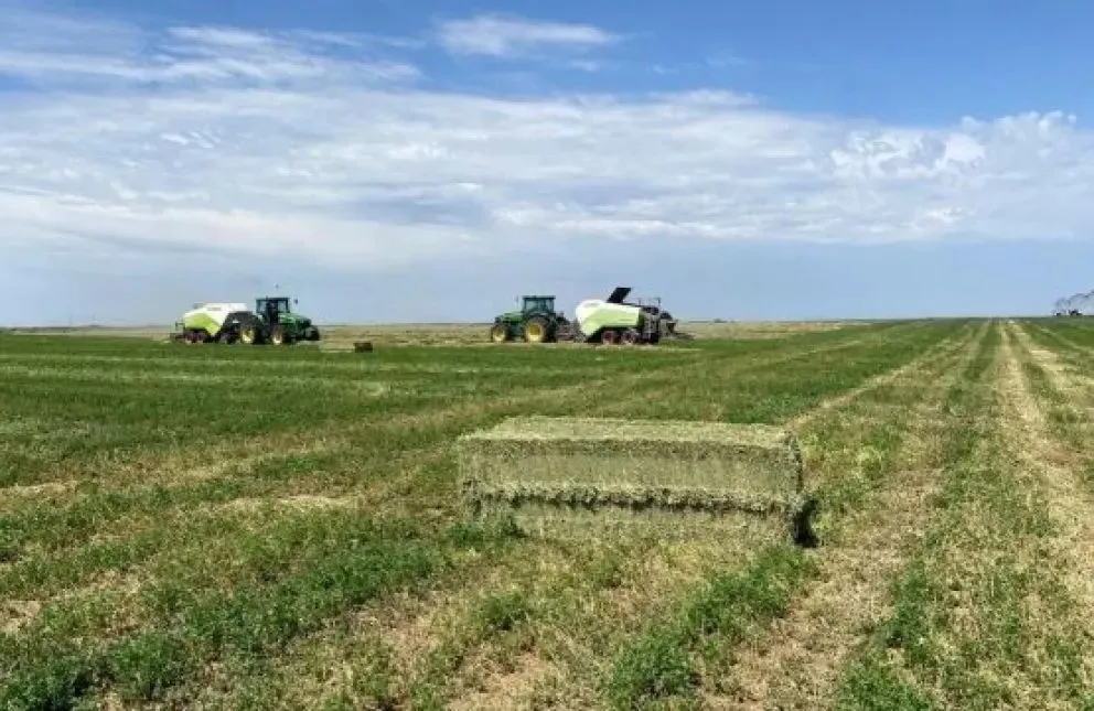 El fortalecimiento de la cadena de valor está acompañado por proyectos de infraestructura. 
