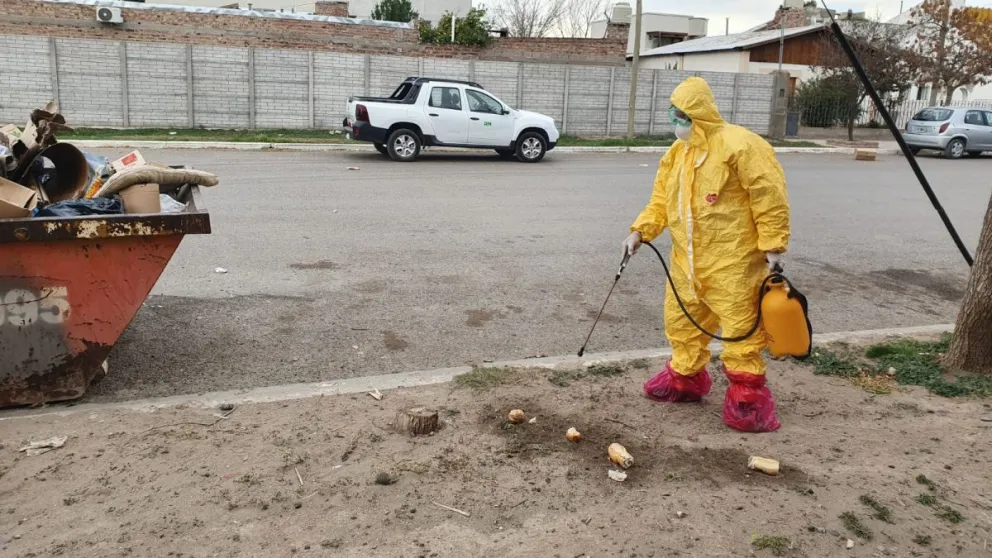 Se están realizando tareas en la ciudad 