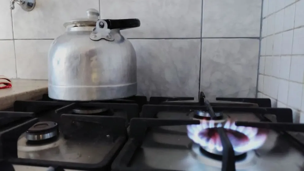 La inhalación de monóxido de carbono provoca fallas en órganos vitales como corazón y cerebro.Crédito: Gobierno de Río Negro