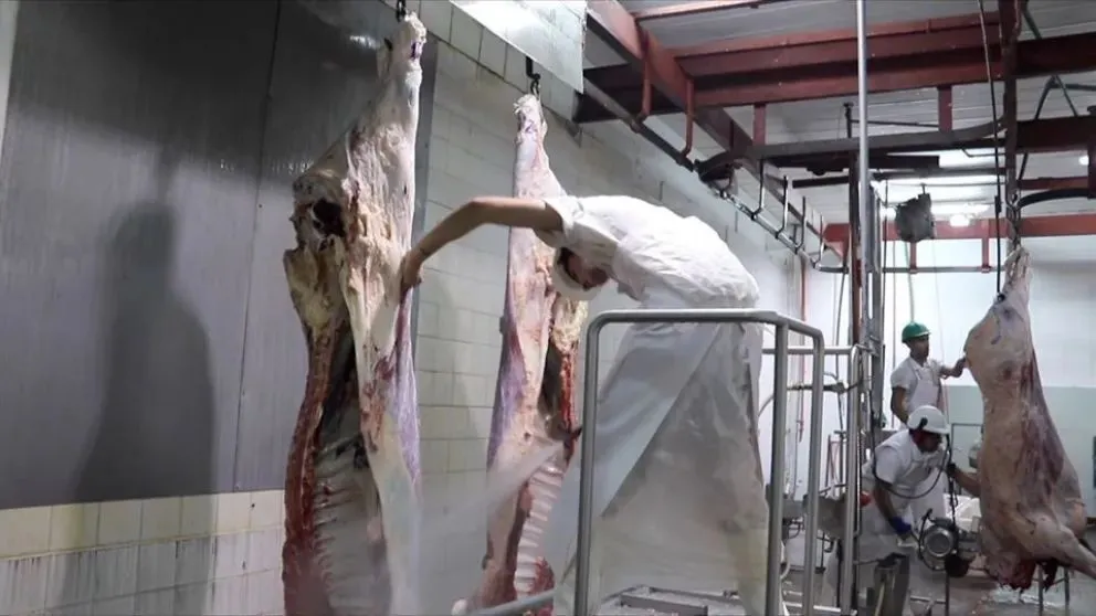 Matadero de Luis Beltrán.