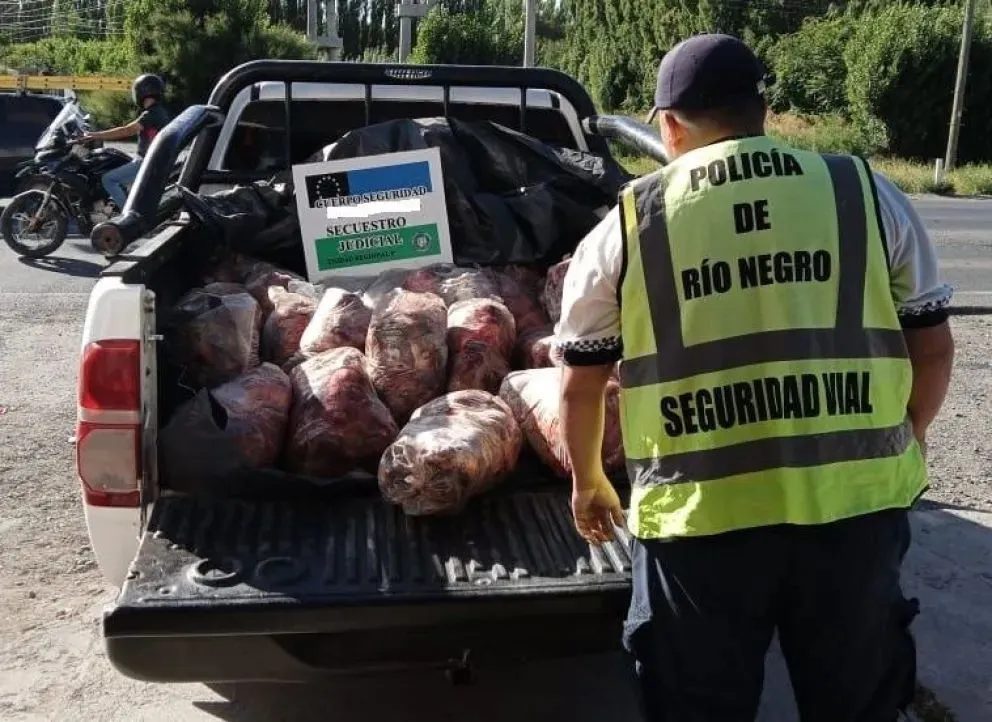 Un tremendo caso de abigeato y crueldad animal llegó a audiencia. Se cometieron infracciones a la ley de fauna. Foto (Archivo)