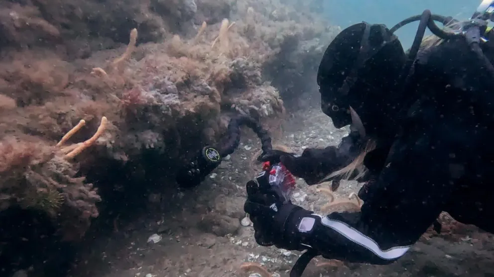 Este proyecto también contempla impulsar infraestructura turística y estrategias de desarrollo sostenible Crédito: Gobierno de Río Negro