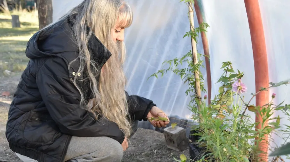 Río Negro continúa con políticas públicas que fortalezcan la seguridad alimentaria y la economía familiarCrédito: Gobierno Río Negro.