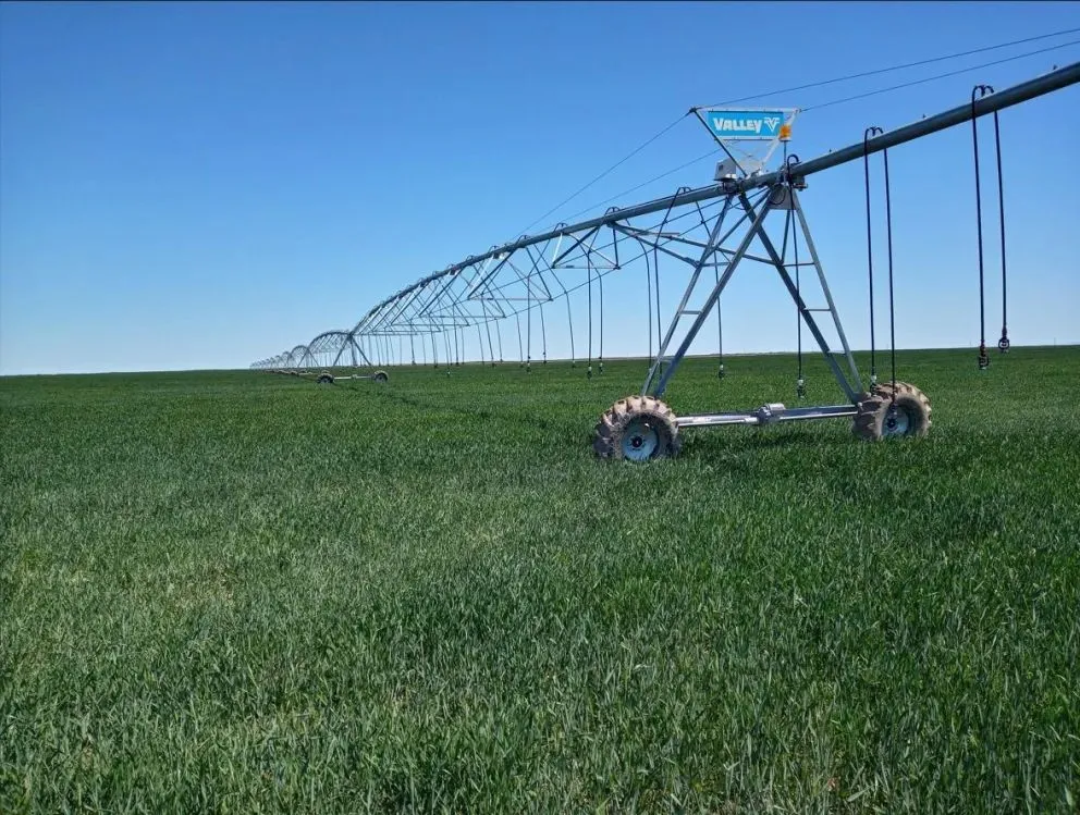 Expansión de áreas bajo riego - Guardia Mitre (Río Negro).