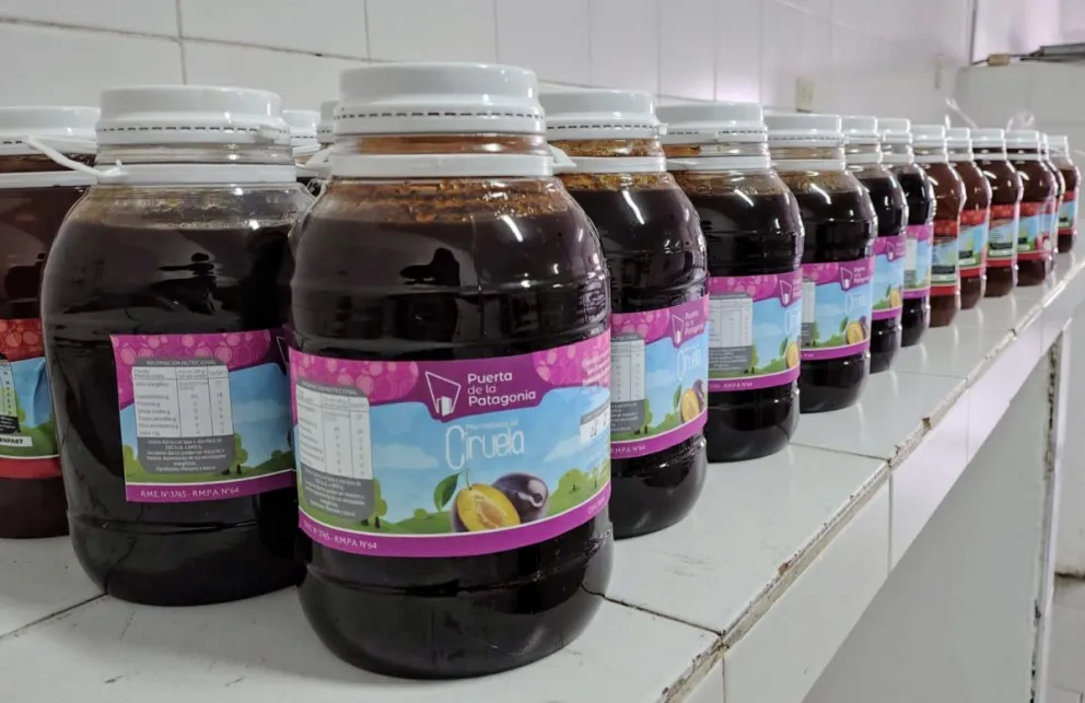 “Puertas de la Patagonia” ofrece una opción saludable para los establecimientos educativos. Foto: 7 en Punto.