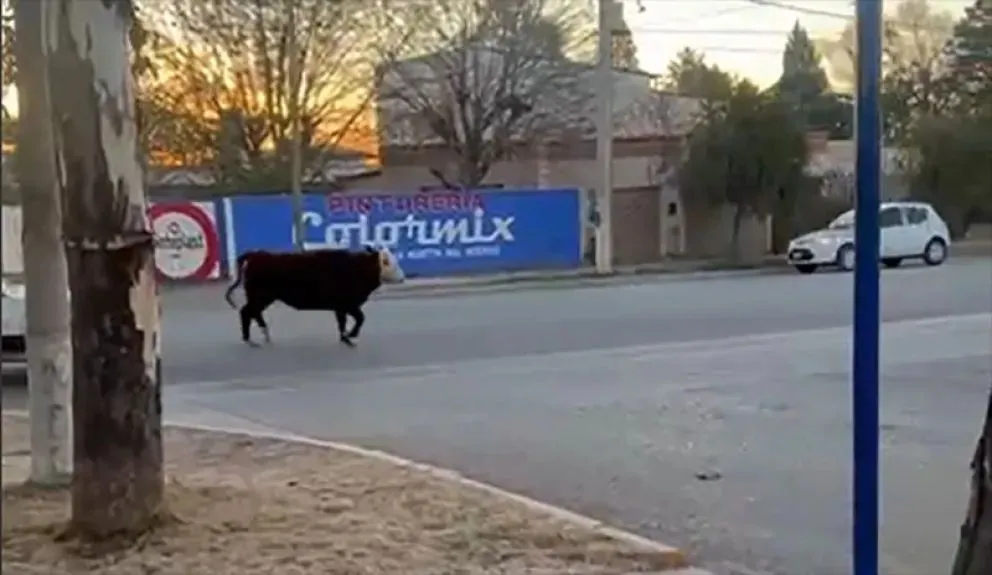 Horas más tarde de su recorrida por calles de Huergo fue hallado muerto en las vías del ferrocarril cerca de Godoy. (Foto gentileza)