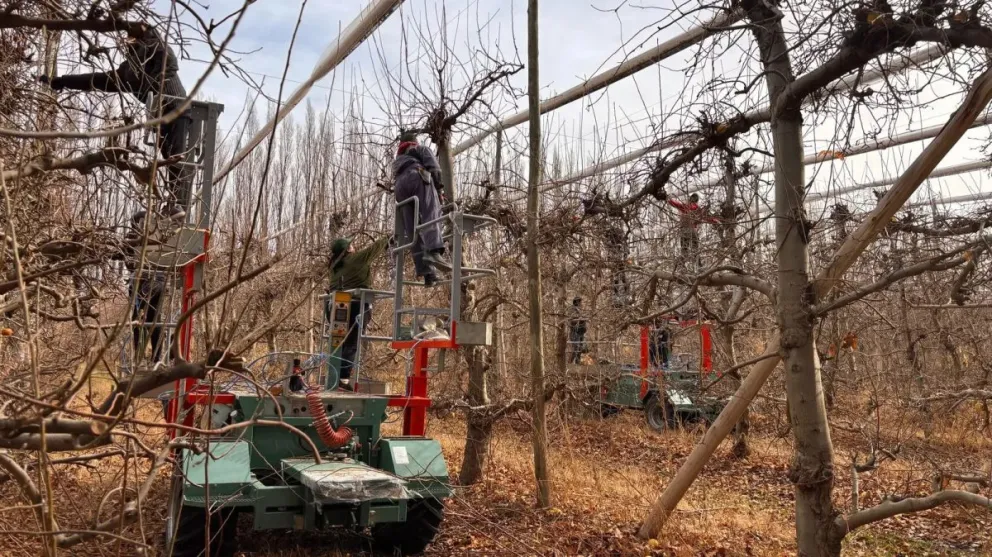 Este proceso se realiza con una fuerte perspectiva de géneroCrédito: Gobierno Río Negro