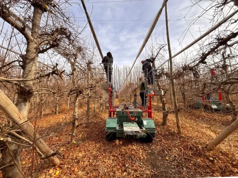 Alrededor de 60 mujeres fueron capacitadas.