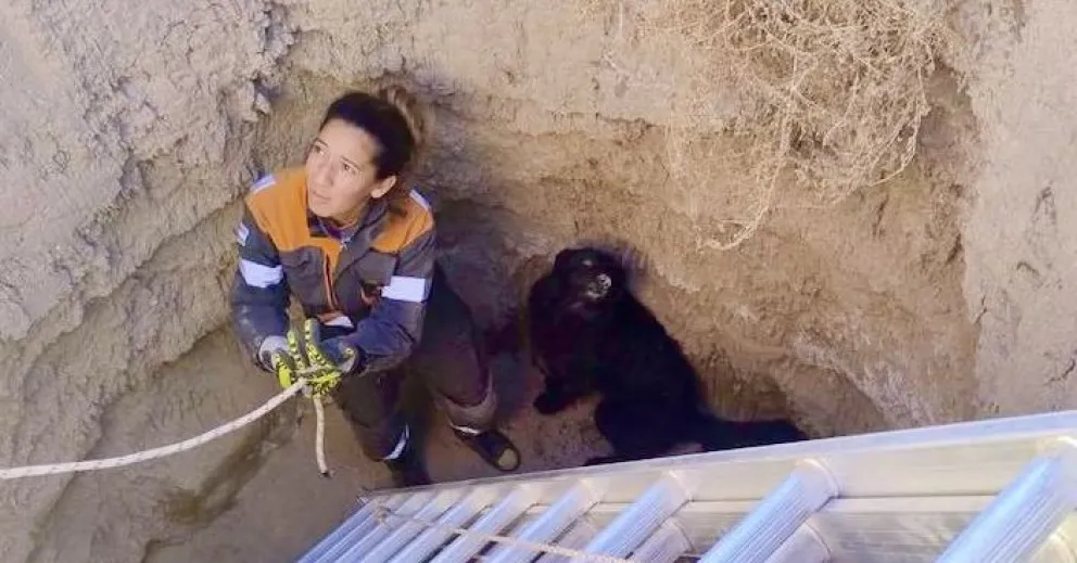 Imagen: bomberos Belisle