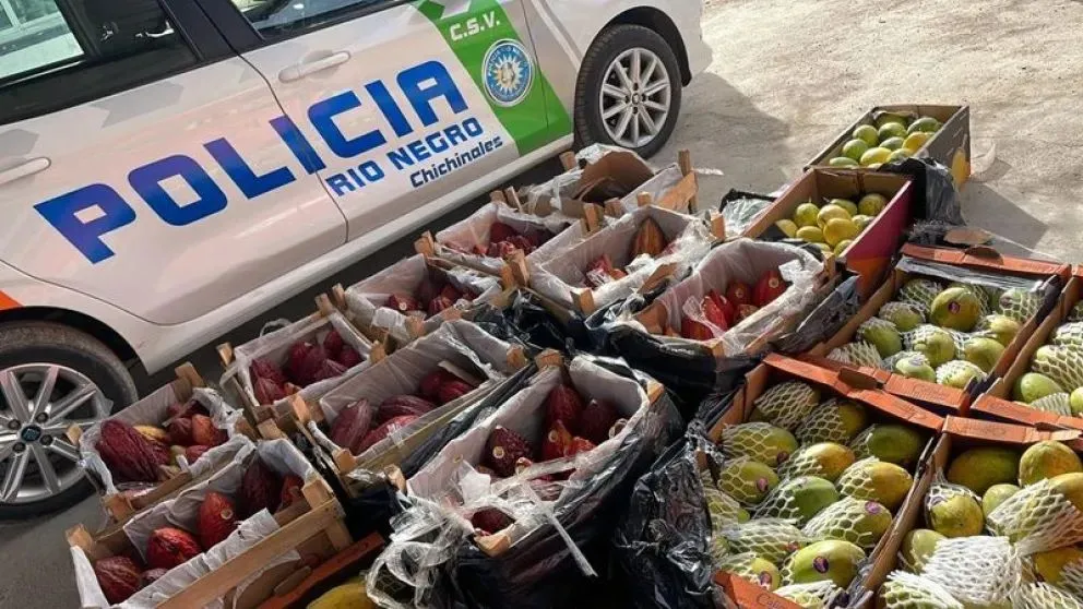 Las cajas con frutas tropicales fueron secuestradas por no contar con tratamiento cuarentenario para ingresar a la región patagónica. (Foto gentileza)