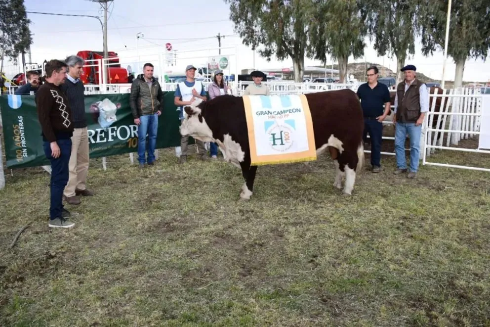 Foto: Archivo 7 en Punto 