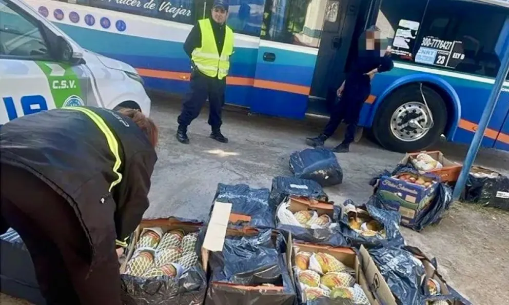 Las cajas con frutas tropicales era transportada en la cabina del ómnibus que viajaba hacia Neuquén. (Foto gentileza)