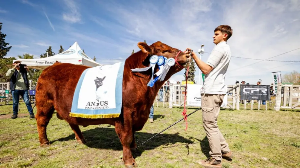 El circuito de rurales tuvo su paso por Choele Choel con 100% de ventasCrédito: Gobierno de Río Negro.