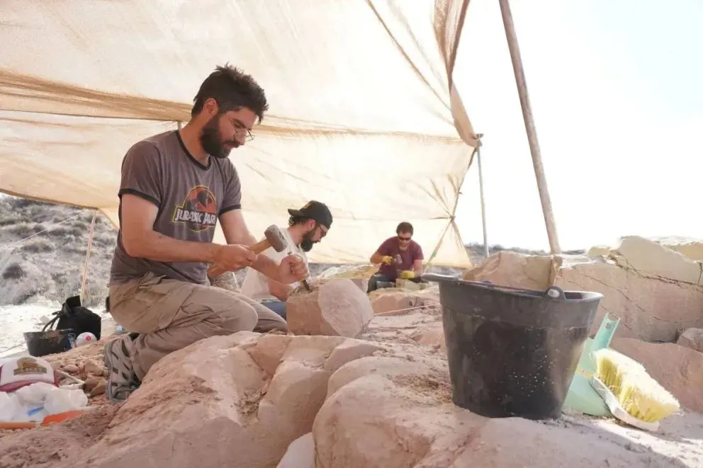 Paleontólogos realizarán la extracción de fósiles en plena Patagonia. Foto: Lacev