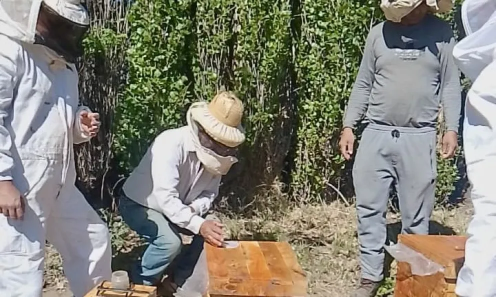 Daniel Bustos es un apasionado de la apicultura