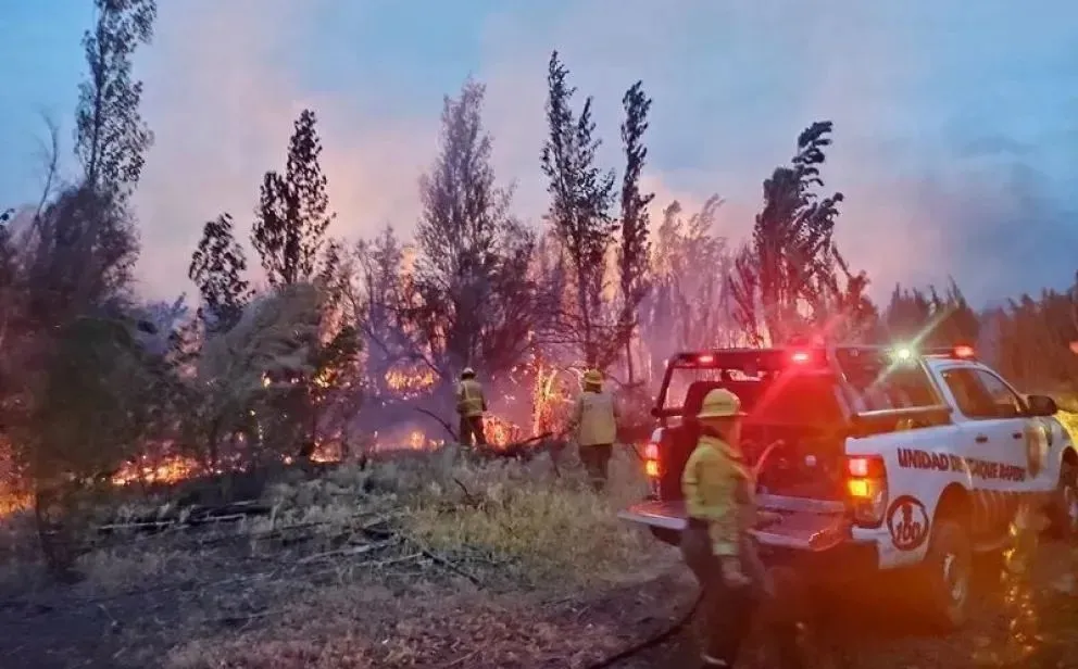 Las ráfagas de viento complicaron el trabajo de bomberos para poder controlar el fuego en una chacra de Regina. Foto: gentileza