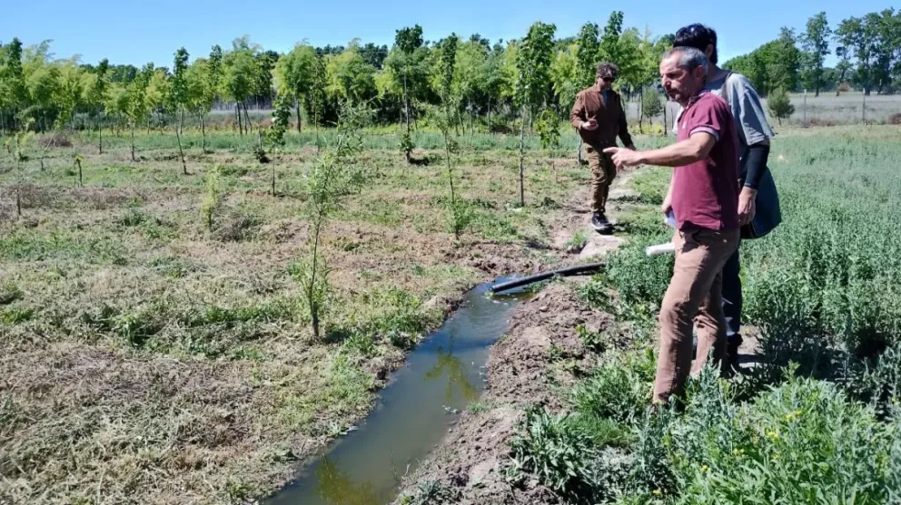 Río Negro consolida una política de reuso de efluentes tratados en riego forestal