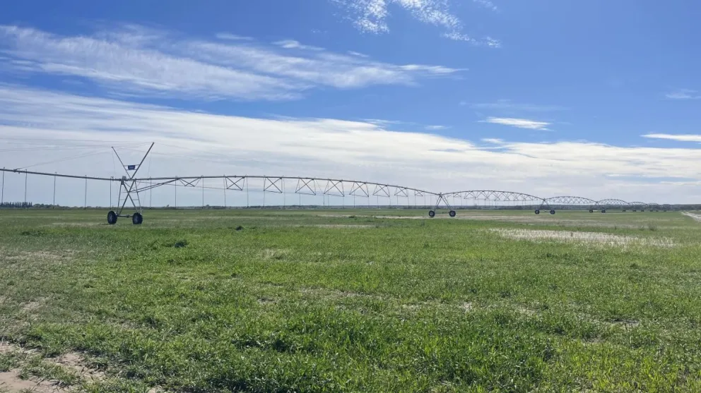 La llegada de esta comunidad genera un impacto positivo en la provinciaCrédito: Gobierno de Río Negro.