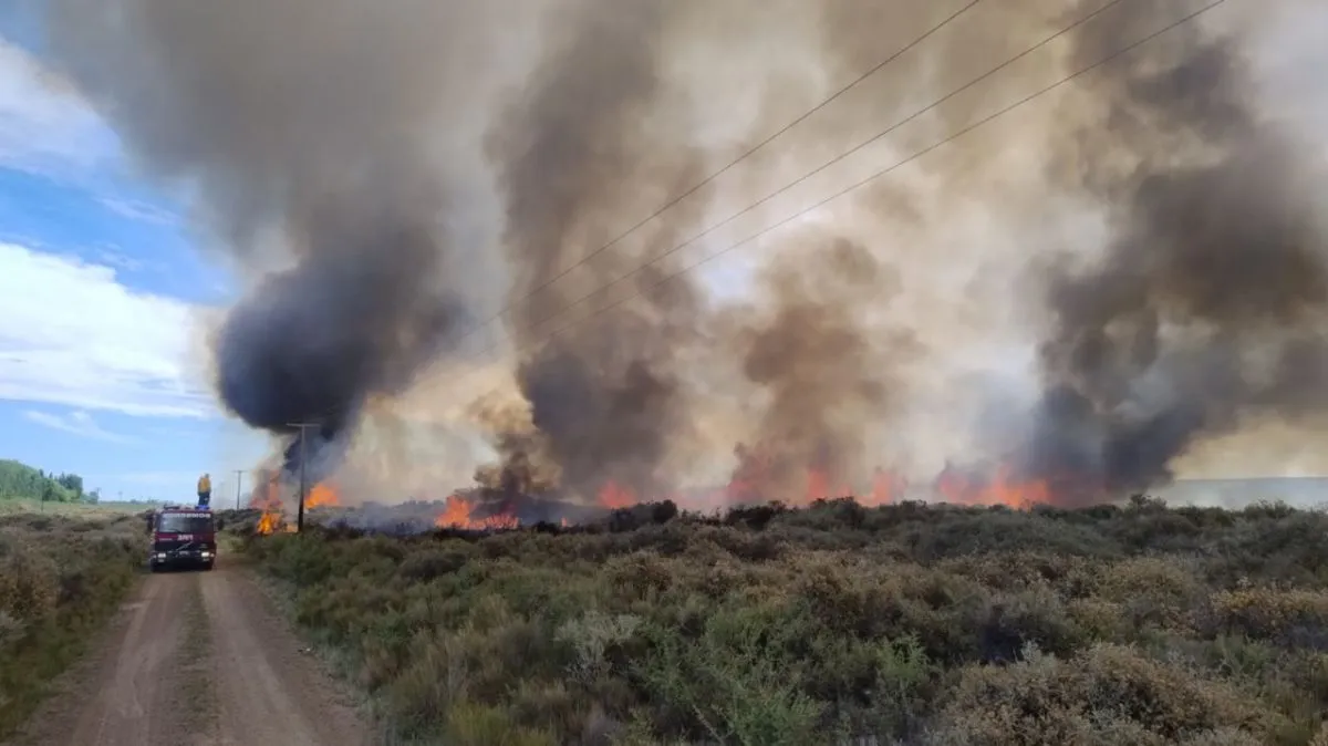 Incendio de gran magnitud en el camino viejo entre Coronel Belisle y ...