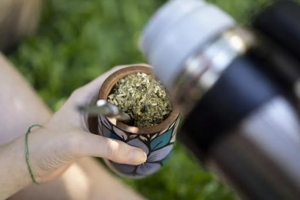 Mate y buena compañía 