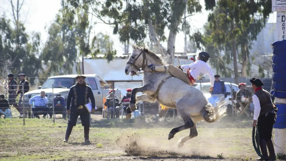 Coronel Belisle será sede de la séptima y octava fecha del Campeonato Rionegrino de Jineteadas.