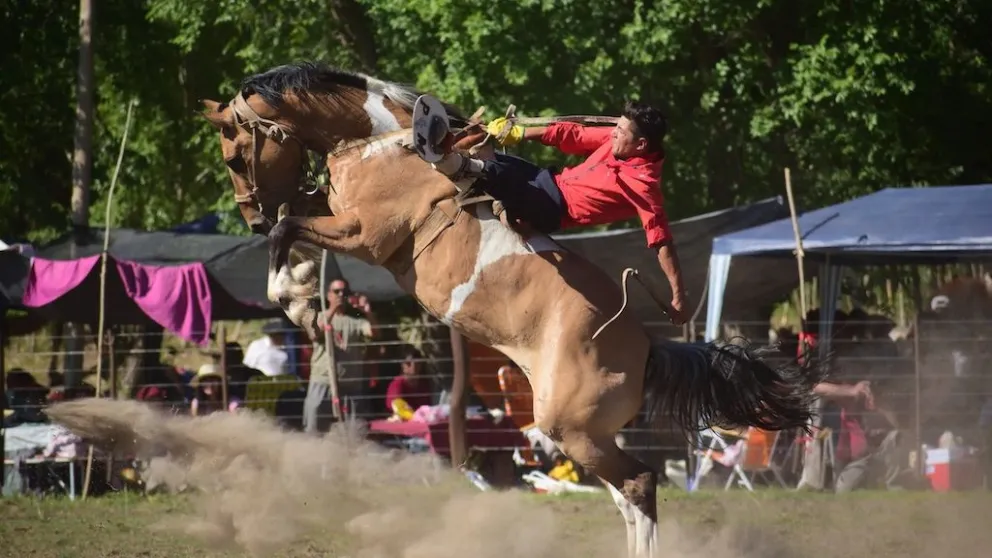 La última fecha será en Cervantes 
