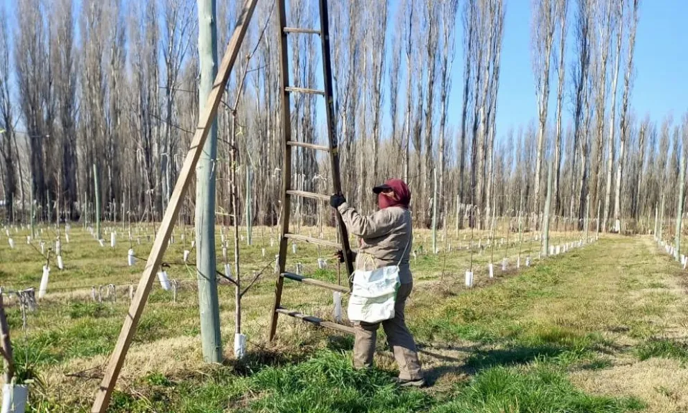 El trabajo de las mujeres es siempre elogiado por su dedicación y prolijidad. 