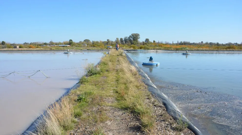 Significa una obra estratégica que permitirá modernizar el servicio de saneamiento. Crédito: Gobierno de Rio Negro