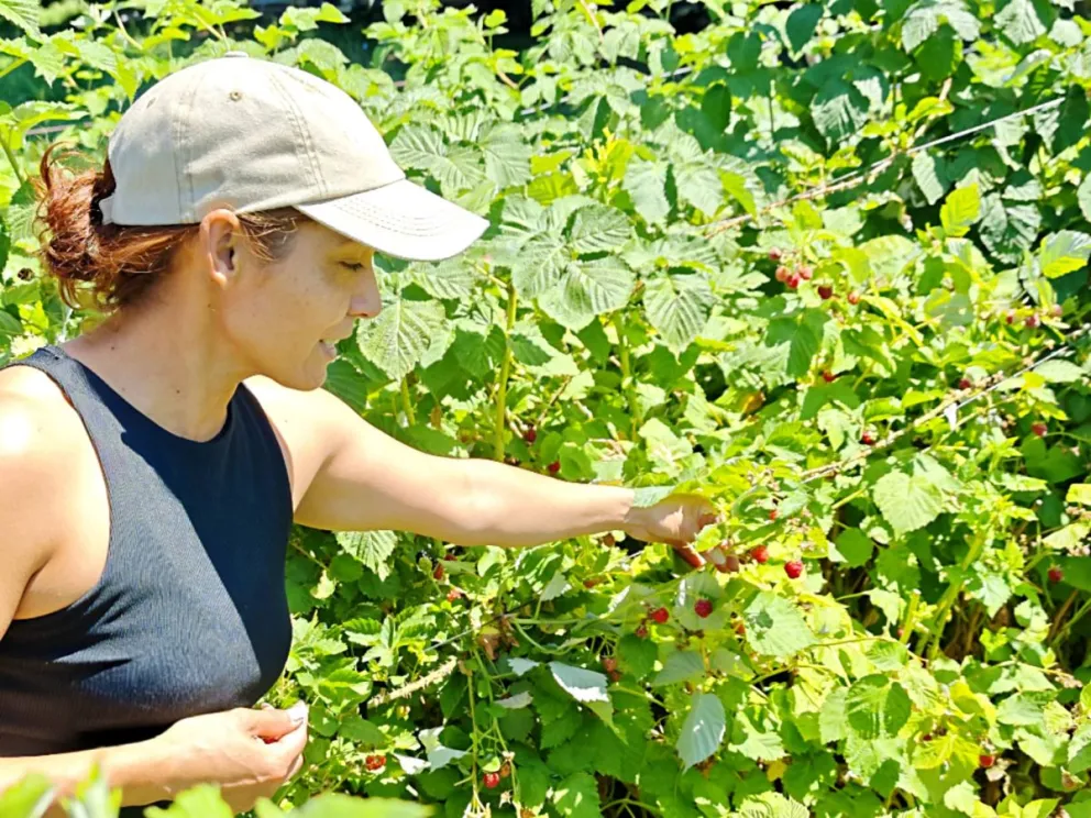 Gabriela trabaja con pasión en la chacra de su padre. Foto: gentileza Darío Castro. 