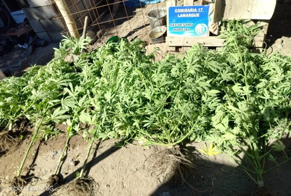 Efectivos secuestraron drogas y balanzas de precisión.Crédito: Ministerio de Seguridad y Justicia