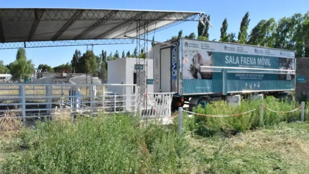 Sala de Faena Móvil en Río Colorado 