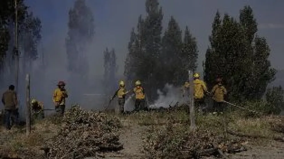 Ante cualquier columna de humo o indicio de incendio, se solicita comunicarse al 103 Crédito: Gobierno de Río Negro