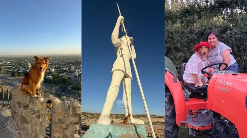 Preguntale y Diego recorrieron Regina en diciembre. Fotos: gentileza