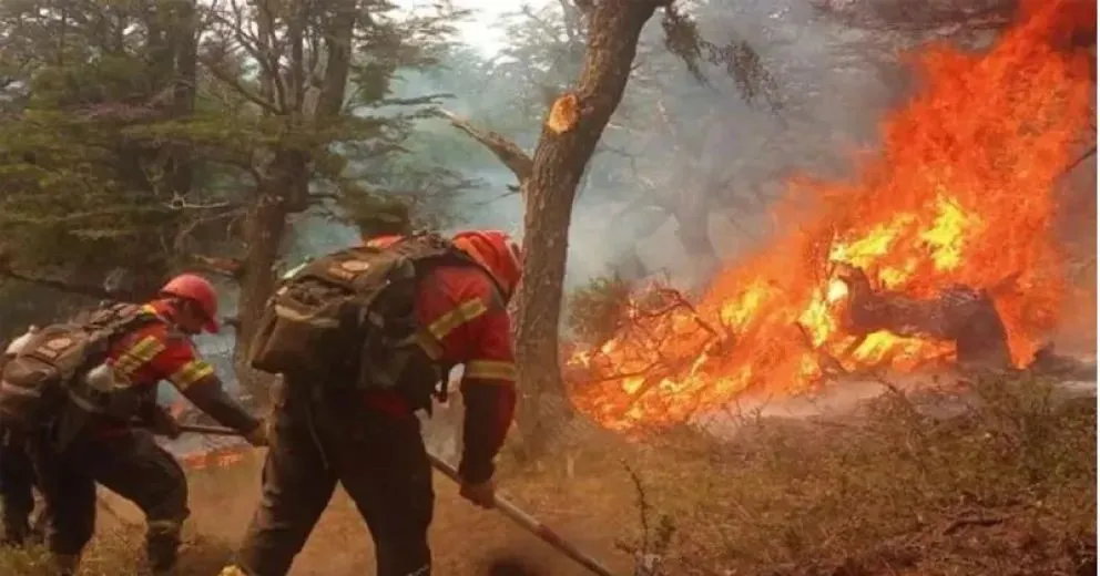 Las altas temperaturas y el viento, dificultan las tareas.