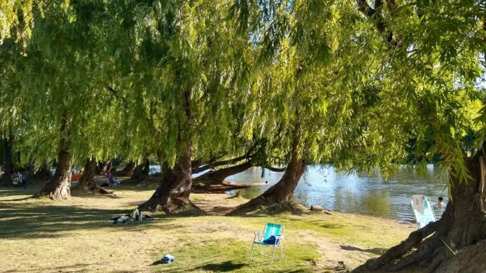 La localidad de Pomona vivirá este domingo una nueva edición de “Pomona Me Encanta”, con espectáculos en vivo, zumba y un gran patio gastronómico.