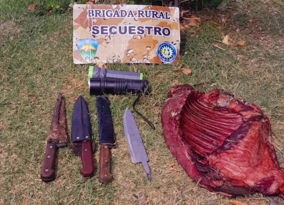 Elementos secuestrados.