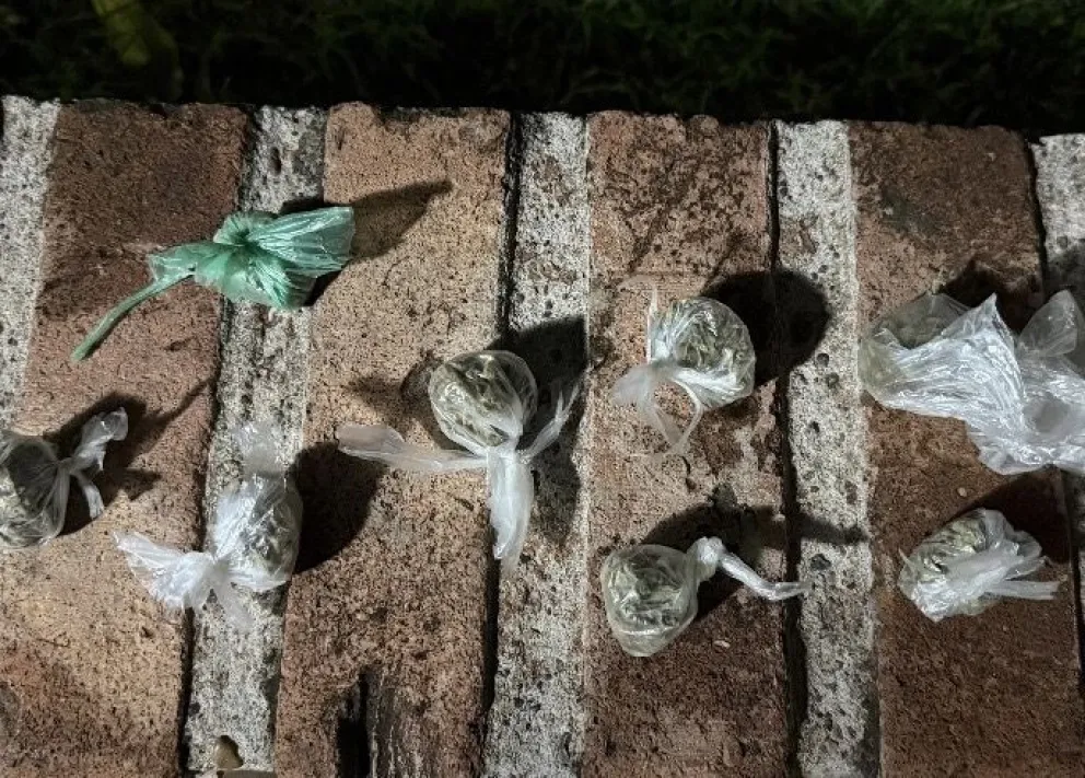 Imagen de lo incautado en el ingreso a la Isla 92. 