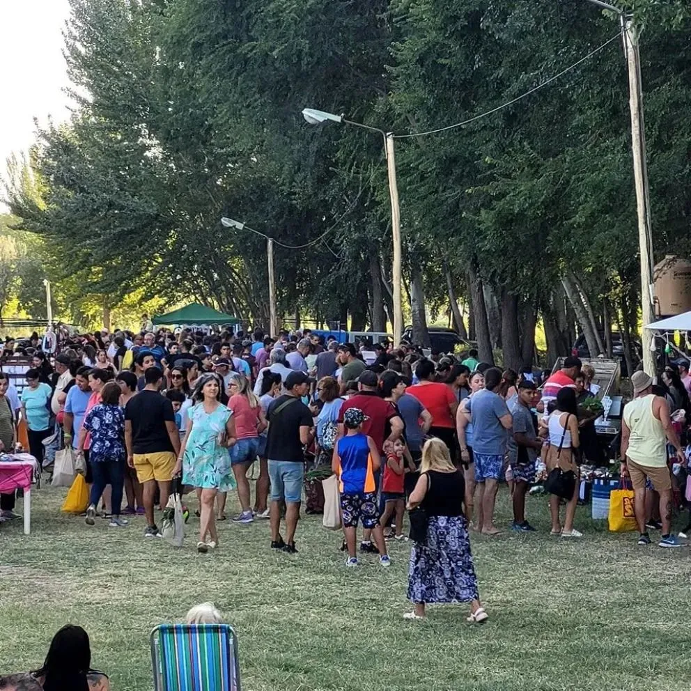 Foto: Archivo 7 en Punto 