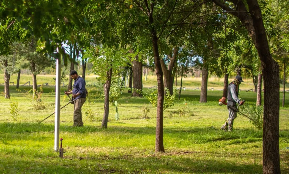 Personal municipal realiza mejoras en el sistema de riego y tareas de mantenimiento en el Parque Ceferino de Chimpay.